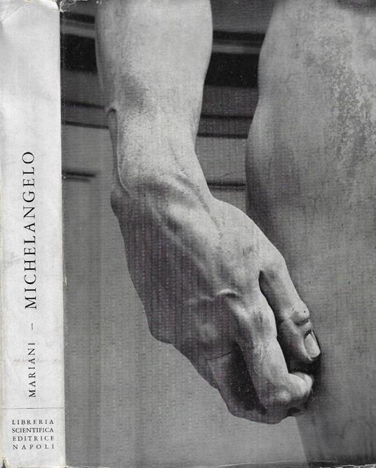 Michelangelo - Valerio Mariani - copertina