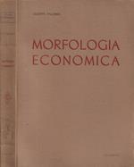 Morfologia economica