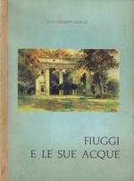 Fiuggi e le sue acque