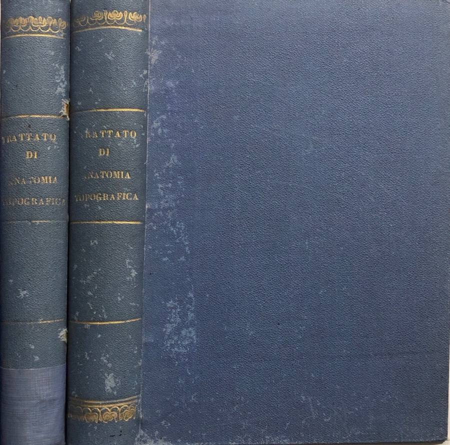 Biblioteca di Babele