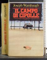 Il campo di cipolle