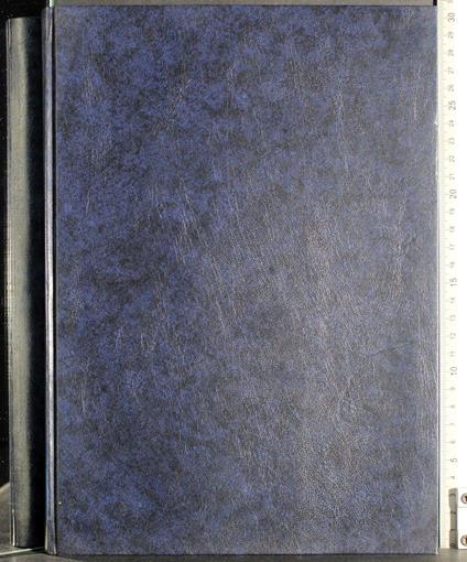 Quello che molti non sanno sull'informazione oggi - Aurea Nicosia - copertina