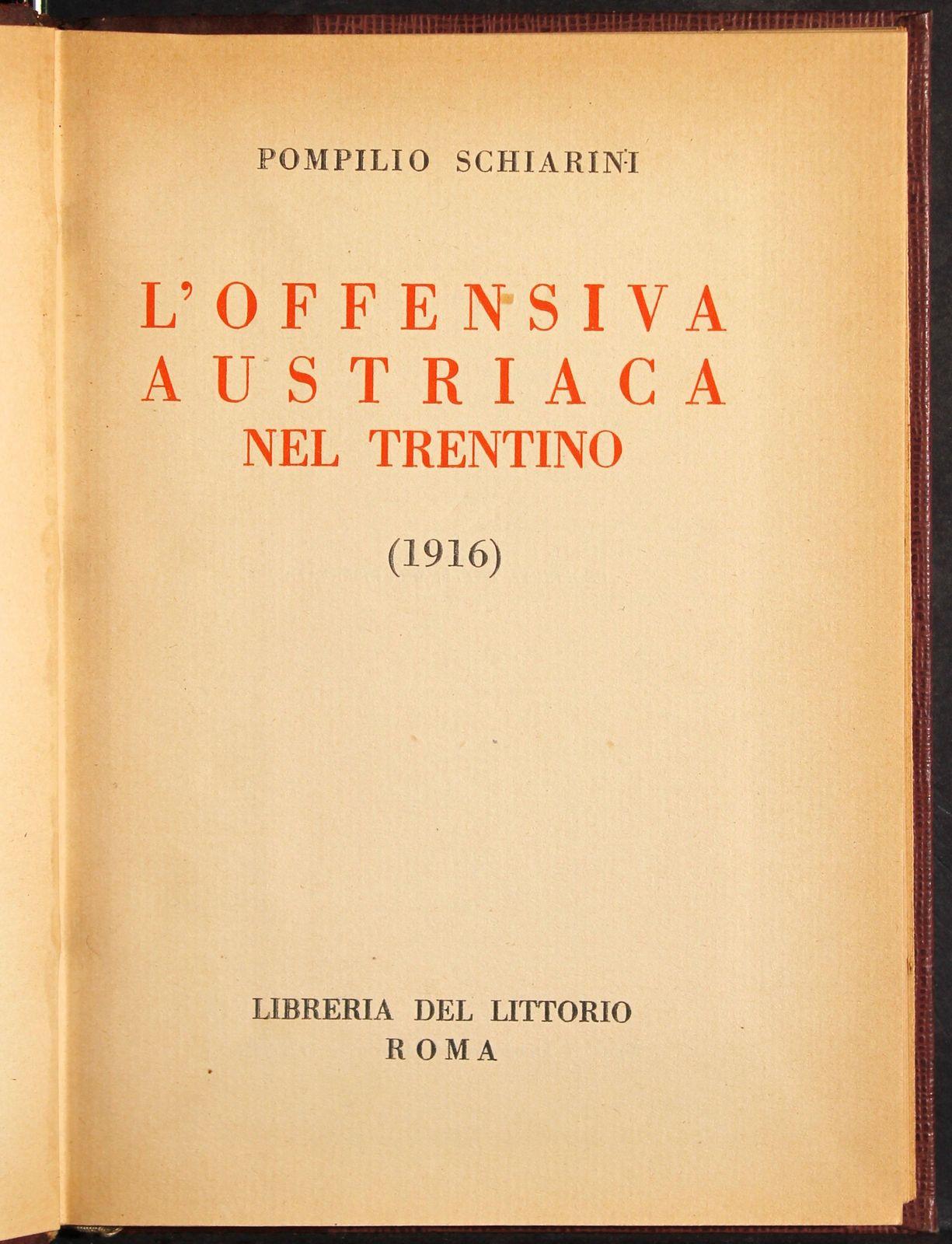 L' offensiva austriaca nel trentino