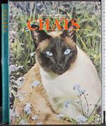 Le monde fascinante des chats