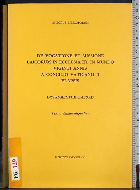 Vocatione et missione laicorum in ecclesia et mundo - copertina