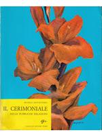 Il cerimoniale nelle pubbliche relazioni