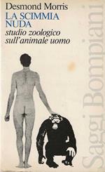 scimmia nuda . studio zoologico sull'animale uomo