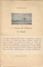 Piazza del Plebiscito in Napoli