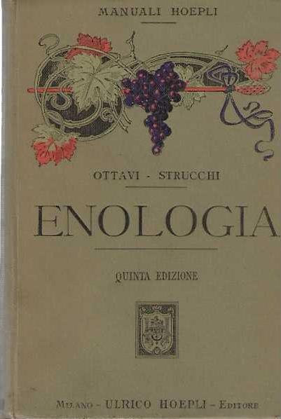 Enologia - copertina