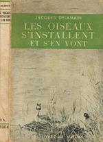 Les oiseaux s'installent…et s'en vont