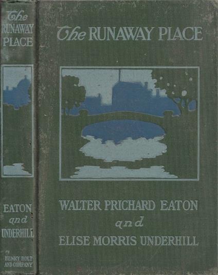 The runaway place - copertina