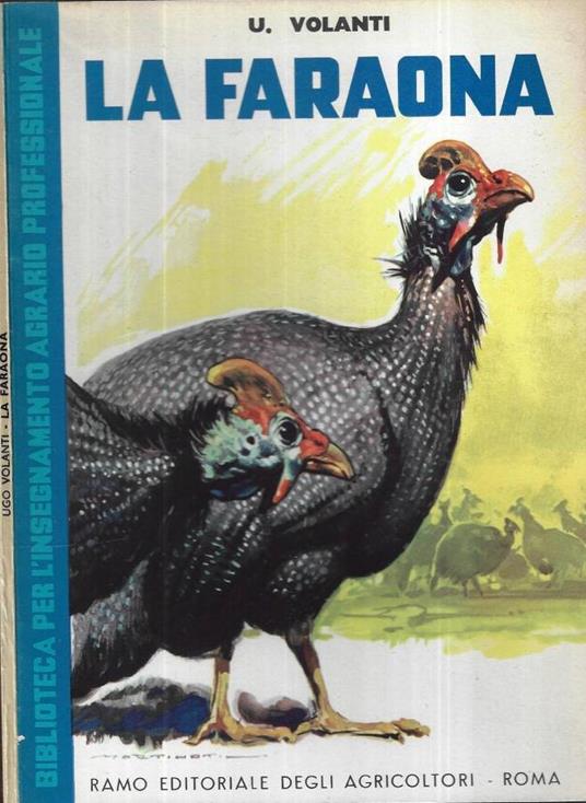 La faraona - copertina