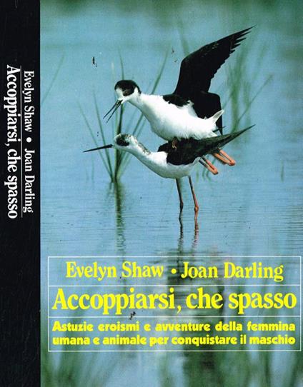 Accoppiarsi, che spasso - copertina
