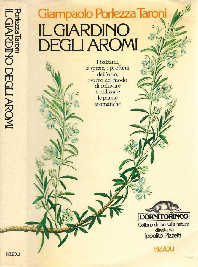 Biblioteca di Babele