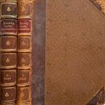 Deutsche litteraturgeschichte vol I,II