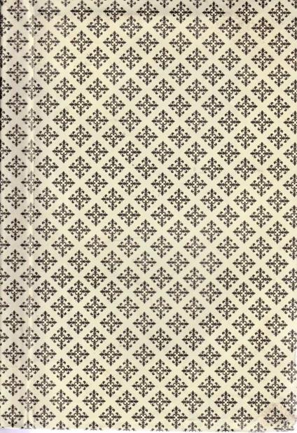 Fiamma chiusa - Mattia Limoncelli - copertina