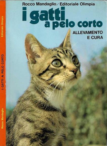 I gatti a pelo corto - Rocco Mandaglio - copertina