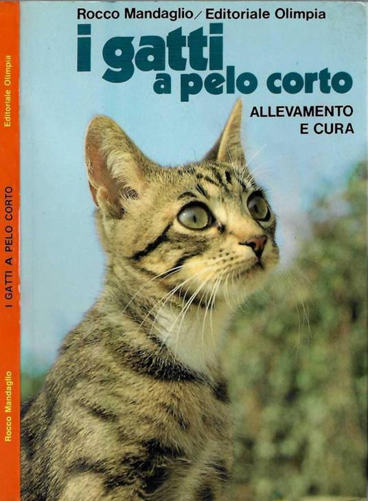 I gatti a pelo corto - Rocco Mandaglio - copertina