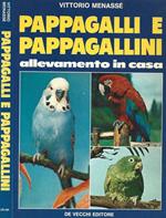 Pappagalli e pappagallini. Allevamento in casa
