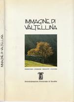 Immagine di Valtellina