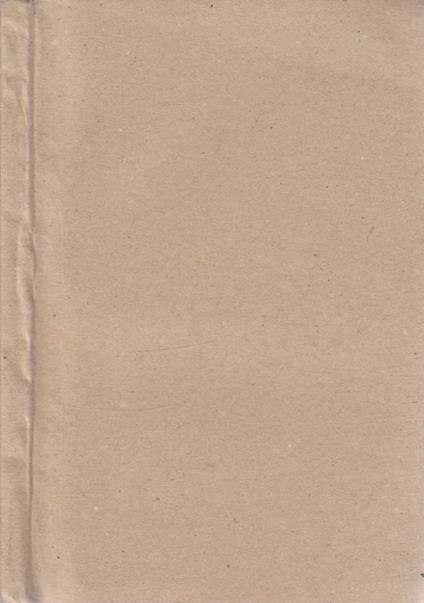 Medaglioni - Enrico Nencioni - copertina