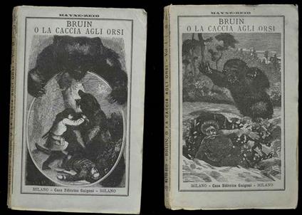 Bruin o la caccia agli orsi - copertina