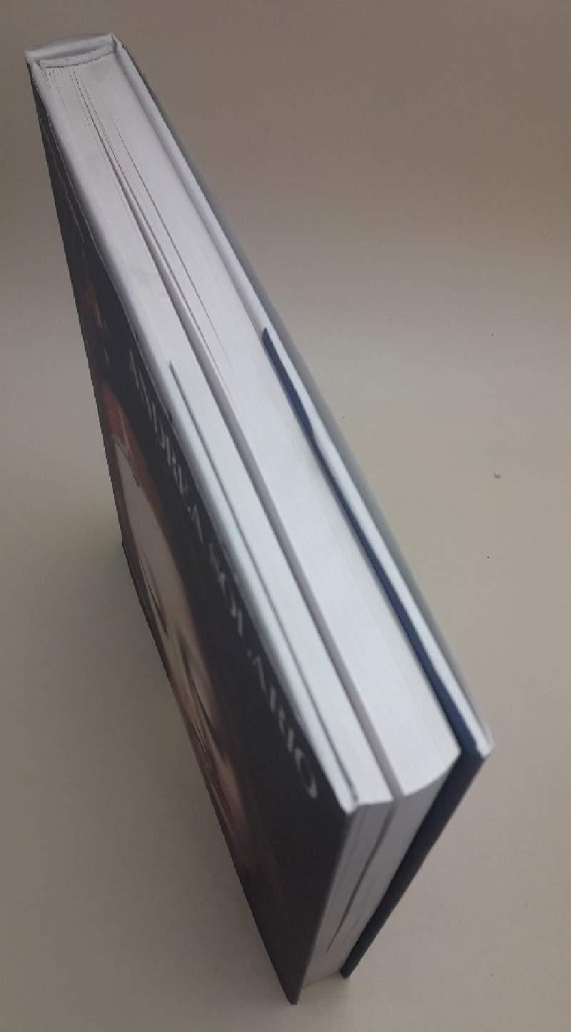 Andrea Solario(1987)