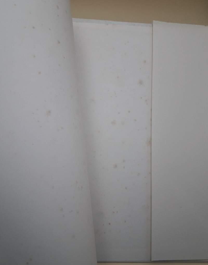 Offshore 1991-Immagini E Classifiche Di Un Anno Di Gare(1991)