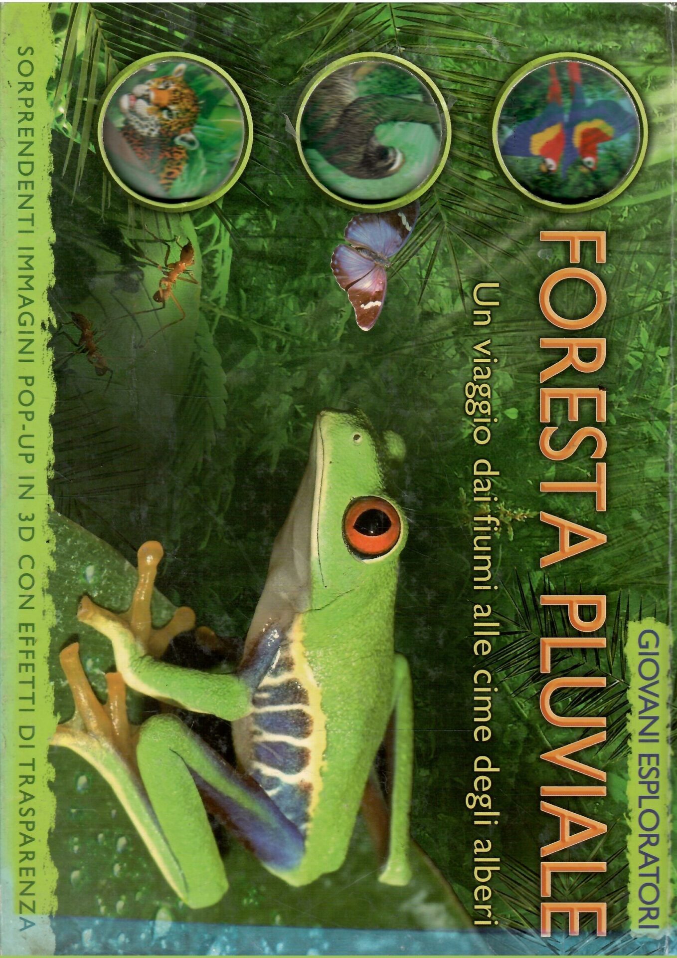 Libroteka di Fattoretti Silvia