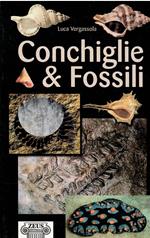 I Fossili e Le Conchiglie