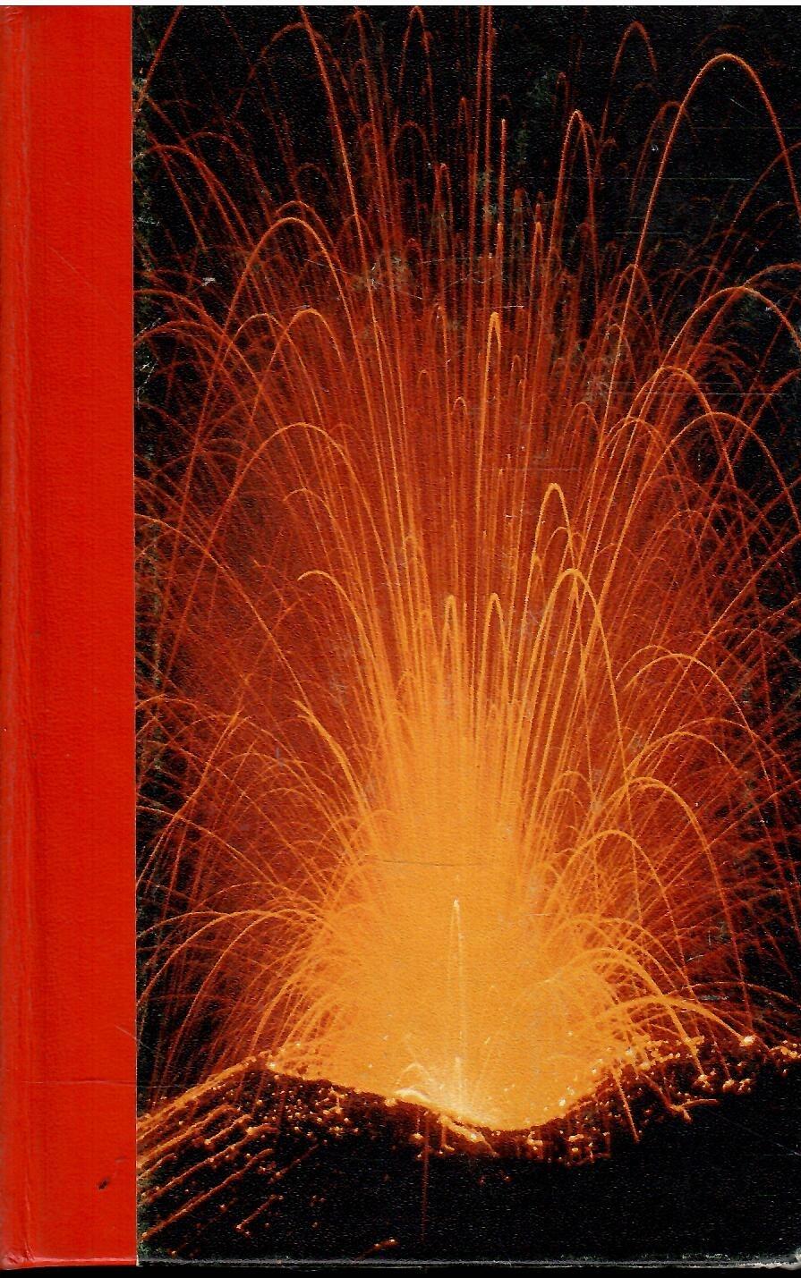 Libroteka di Fattoretti Silvia