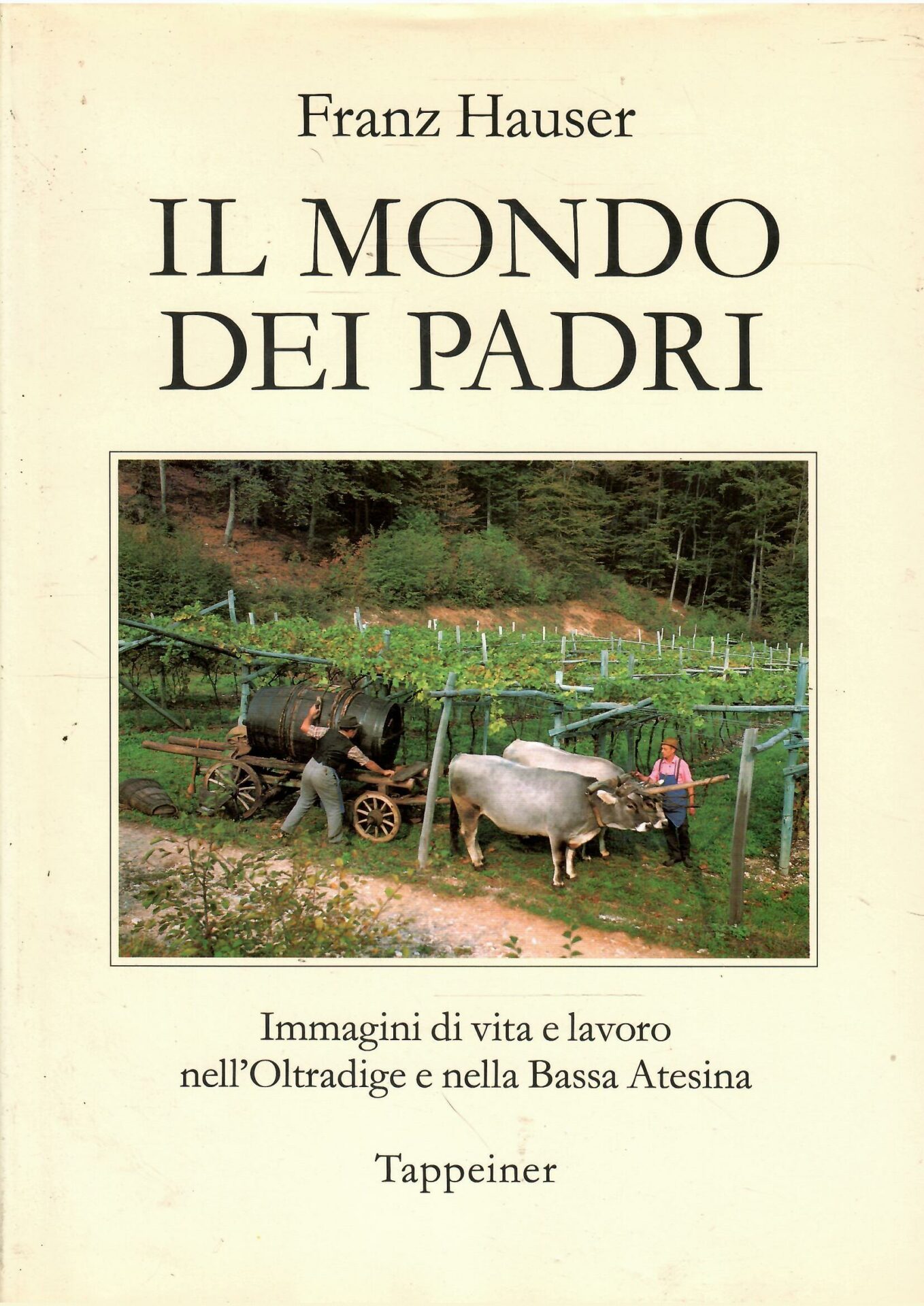 Libroteka di Fattoretti Silvia