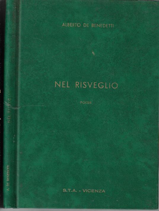 Nel risveglio - Alberto M. Benedetti - copertina