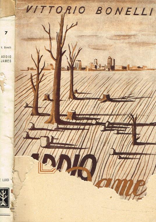 Addio James - Vittorio Borelli - copertina