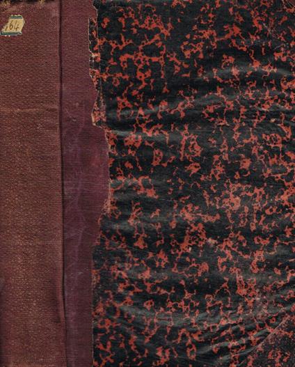 Senza famiglia - Hector Malot - copertina