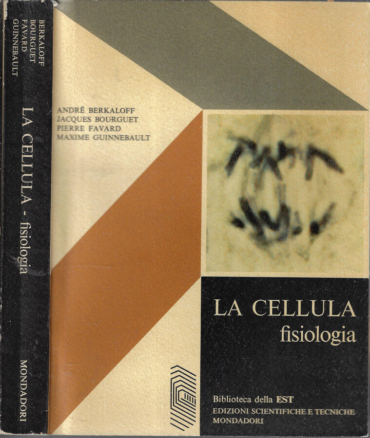 Biblioteca di Babele