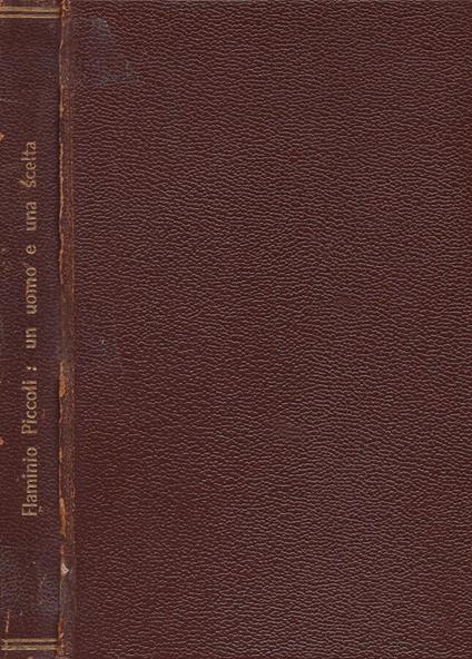 Flaminio Piccoli - Manlio Goio - copertina