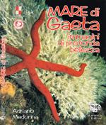 Mare di Gaeta. Immagini di profonda bellezza