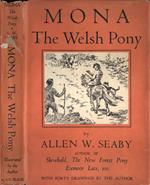 Mona. The welsh pony