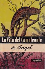 La vita del camaleonte e di altre lucertole
