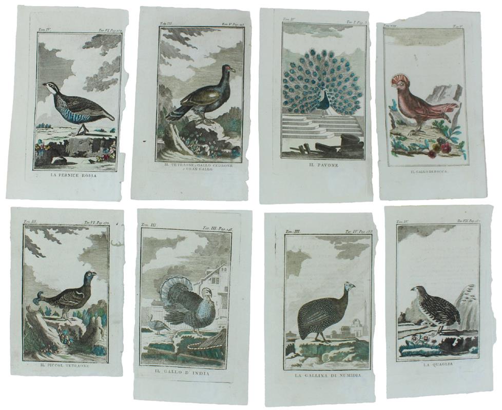 Bergoglio Libri d'Epoca Snc