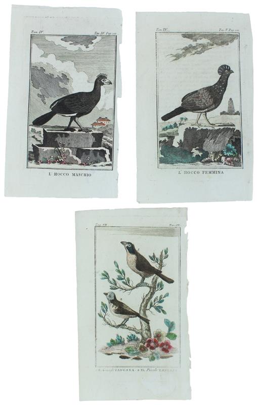 Bergoglio Libri d'Epoca Snc