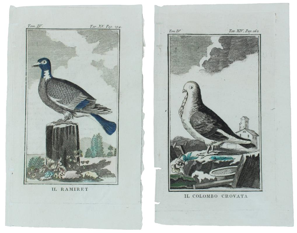 Bergoglio Libri d'Epoca Snc