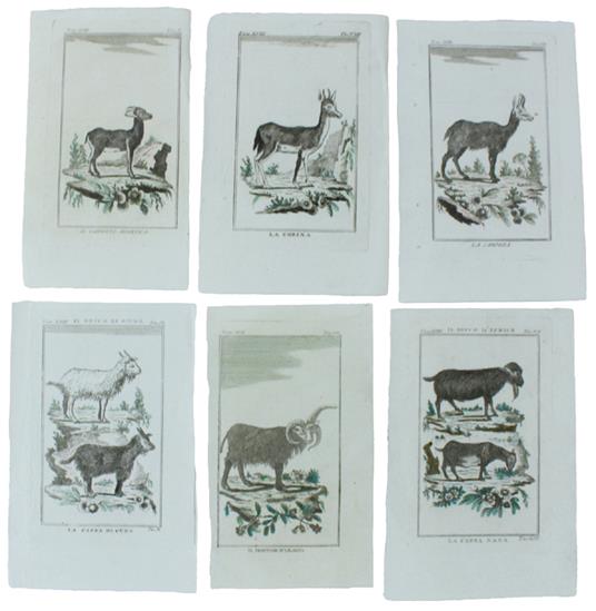 CAPRINI : 6 Tavole originali acquerellate tratte dalla STORIA NATURALE - Georges-Louis de Leclerc Buffon - copertina