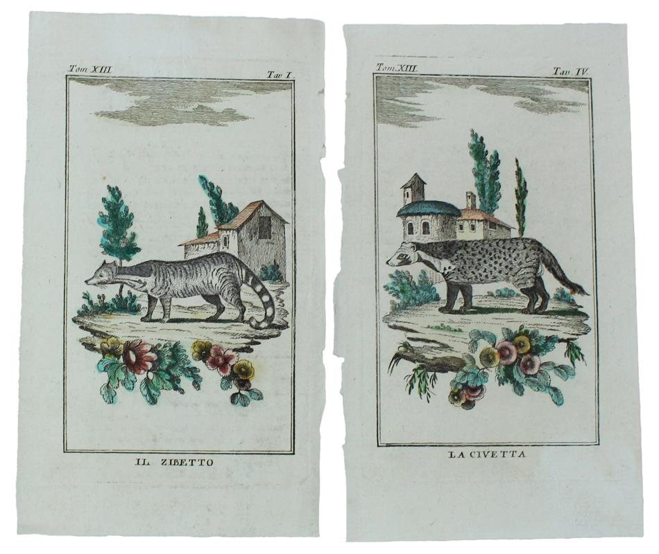 Bergoglio Libri d'Epoca Snc