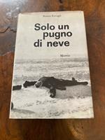 Solo un pugno di neve