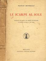 Le scarpe al sole