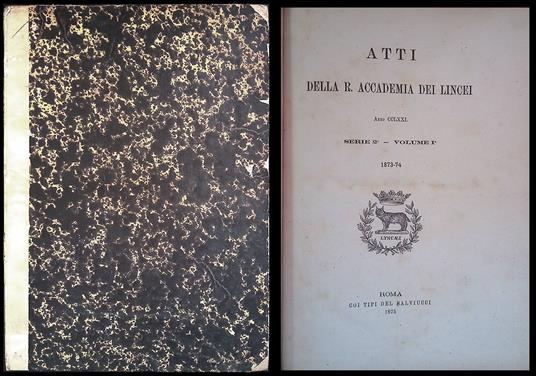 Atti della R. Accademia dei Lincei - Anno CCLXXI. Serie II - Volume I 1873-74 - copertina