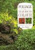 Foliage for year round colour - Jane Taylor - copertina