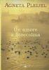 Un amore a Stoccolma - Agneta Pleijel - copertina